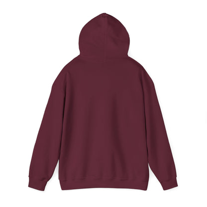 Hoodie "Če delo ni od doma me ne zanima"