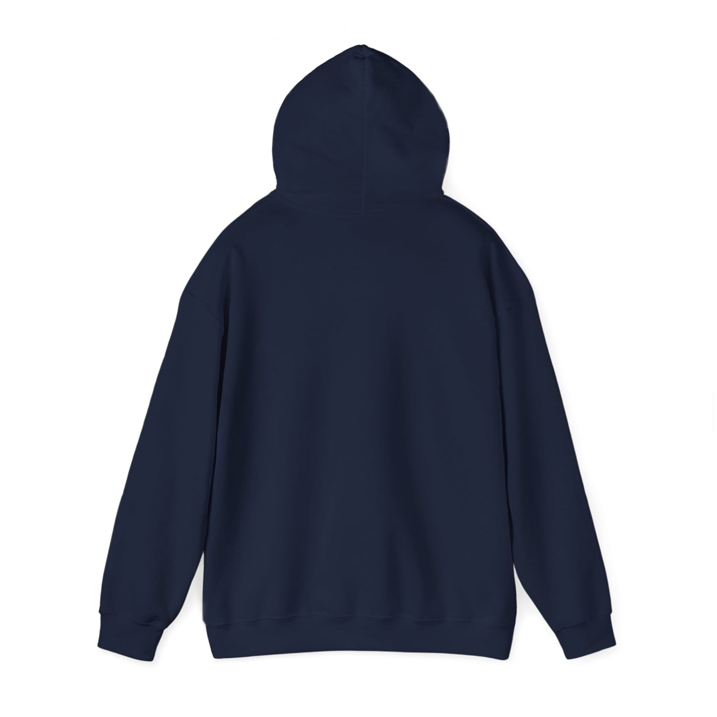 Hoodie "Ni ekonomske računice"