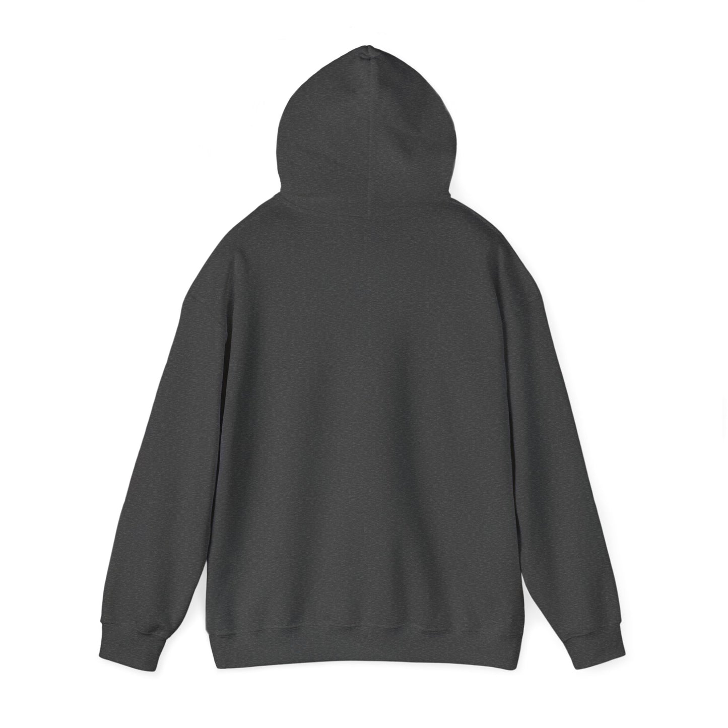 Hoodie "Ni ekonomske računice"