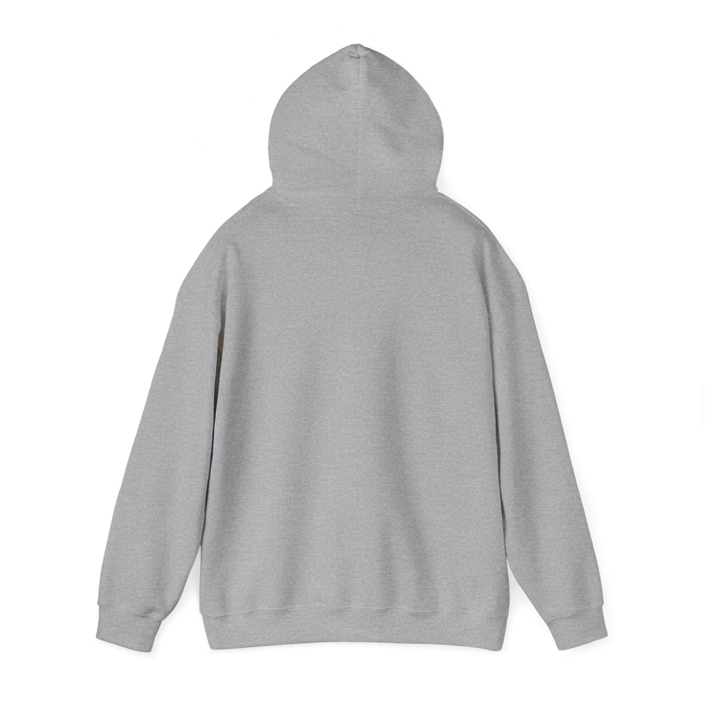 Hoodie "Če delo ni od doma me ne zanima"